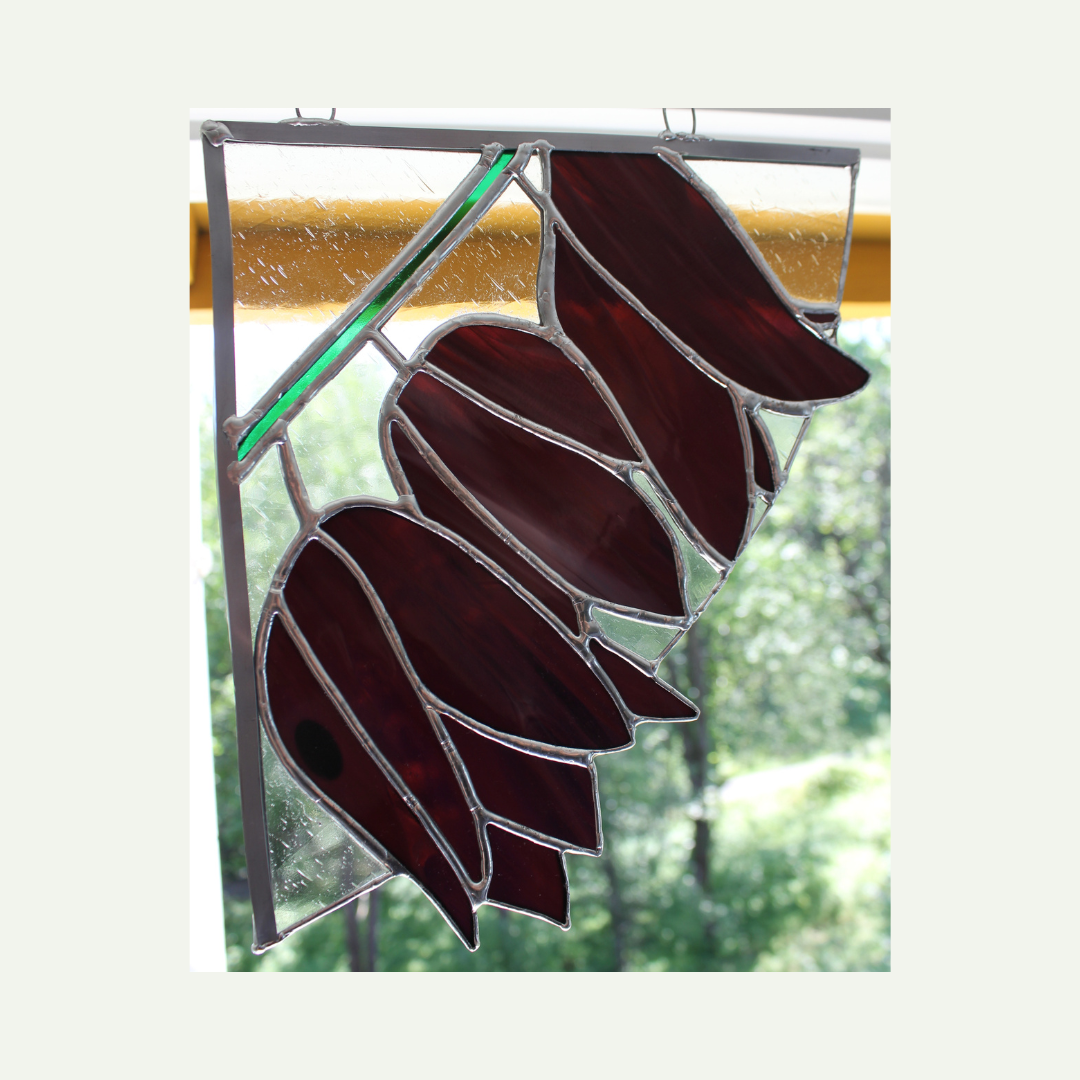 front, hanging in a window