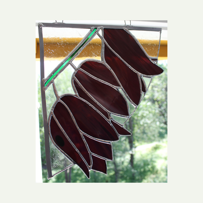 front, hanging in a window