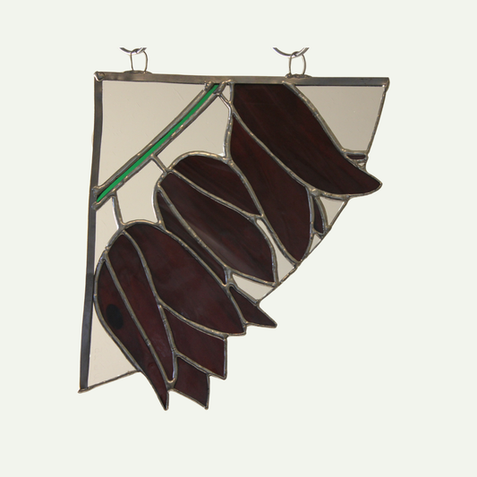 front, without background