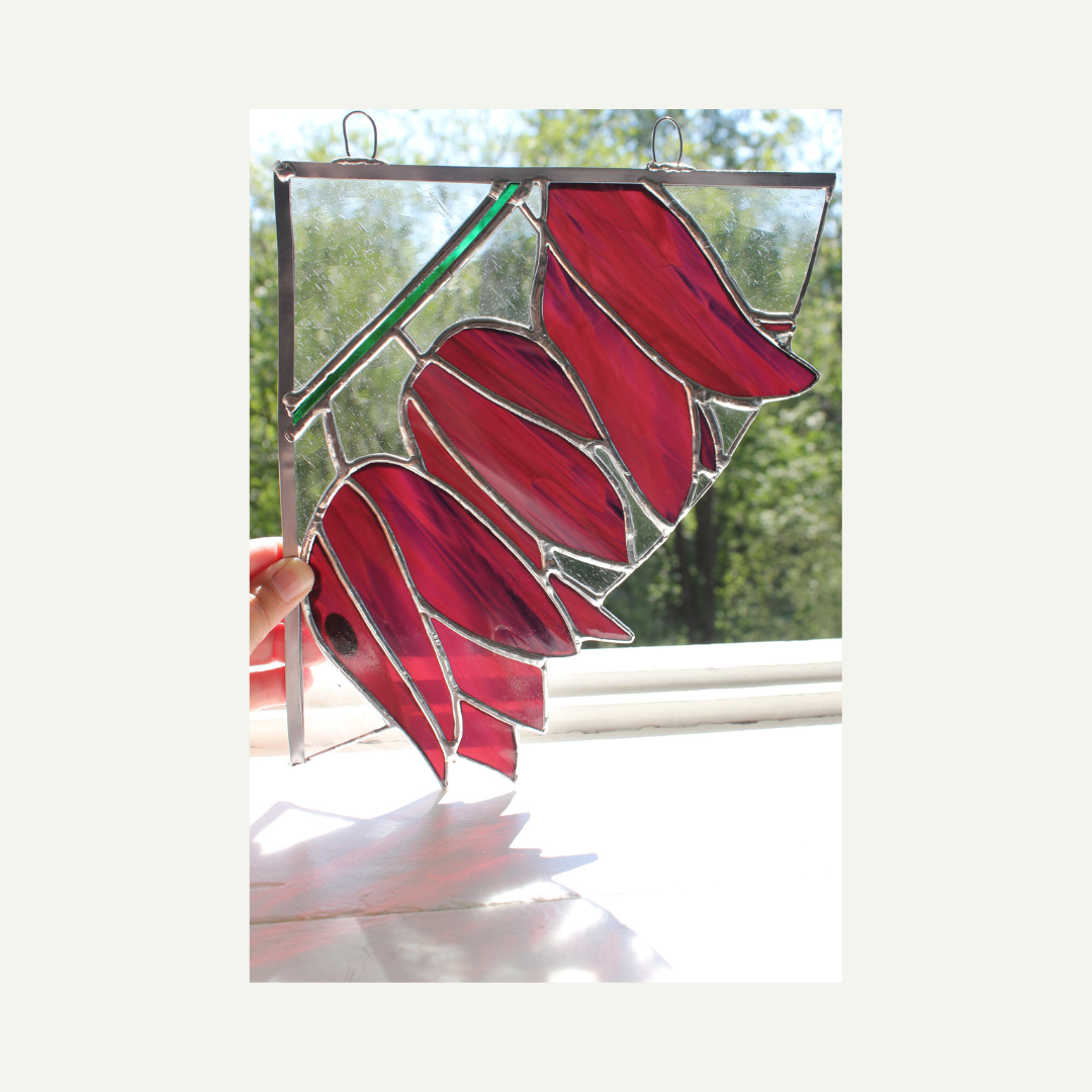 play of colours through sunlight