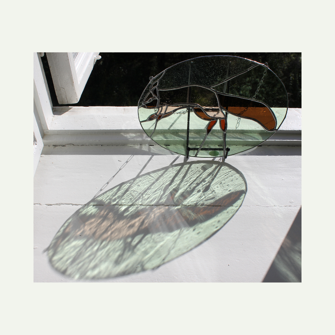 play of colours through sunlight