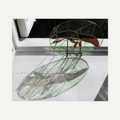 play of colours through sunlight