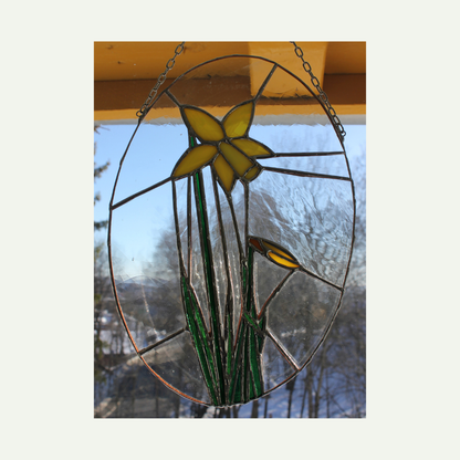 backside - hanging in a window