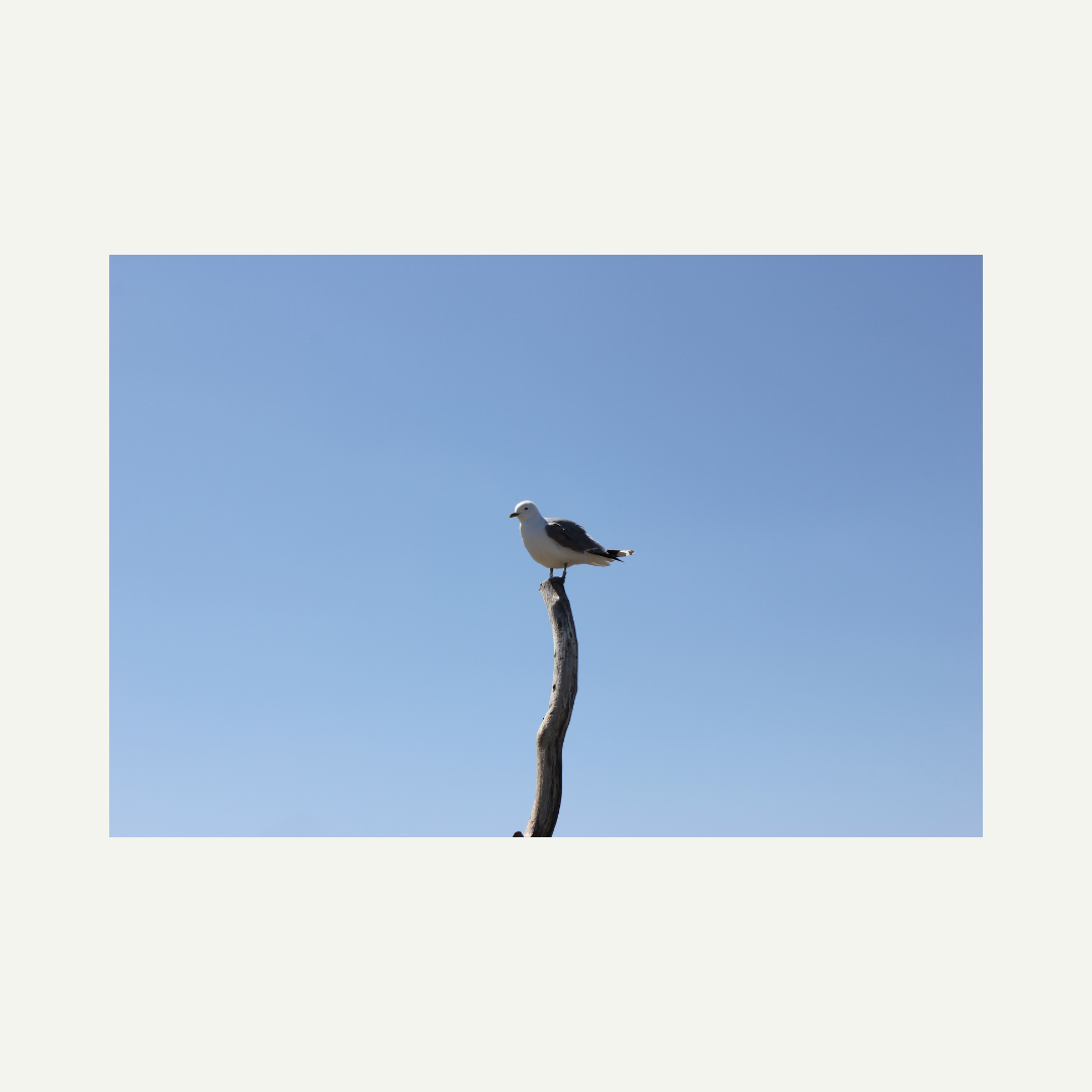 original photo, I took in Oslo at the fjord