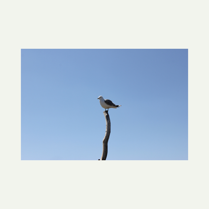 original photo, I took in Oslo at the fjord