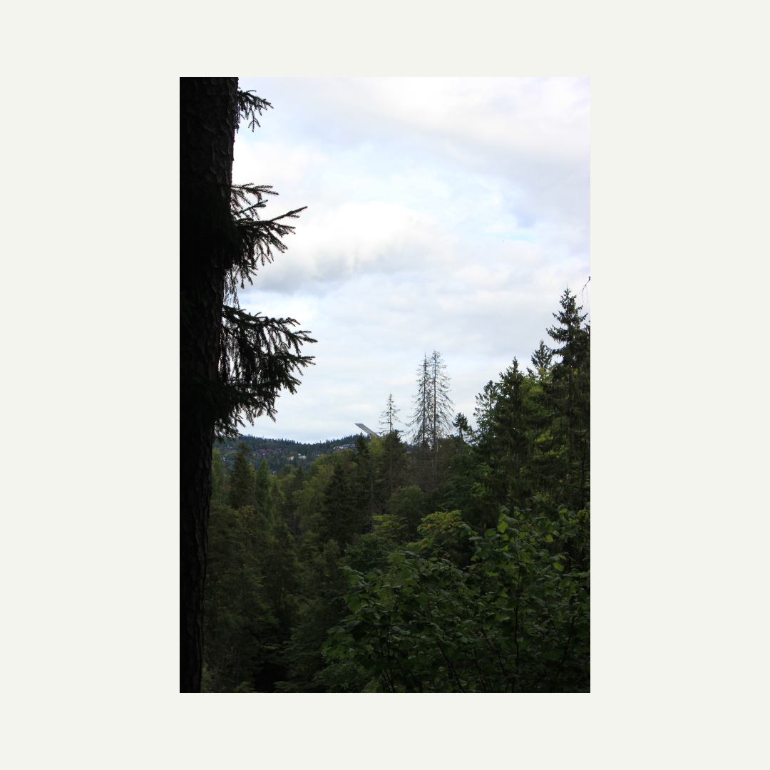 original photo, I took during a walk