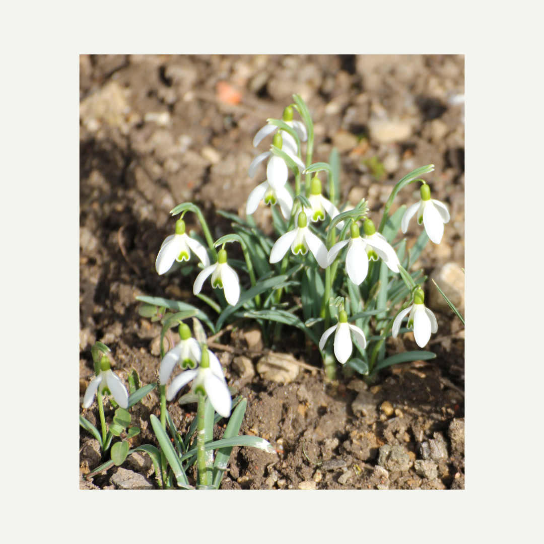 original photo I took during a walk