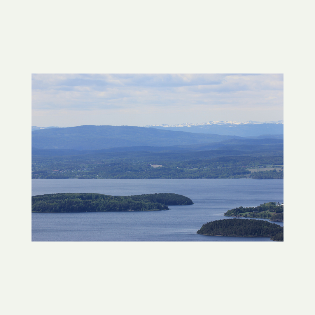 original photo - which I took